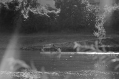 IMG_1645_s
